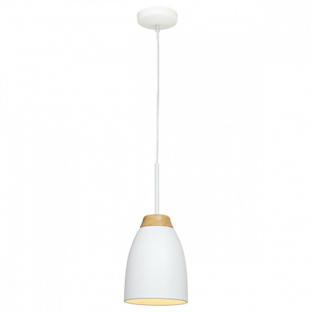 Подвесной светильник Restor LOFT4402A-WH фото 1